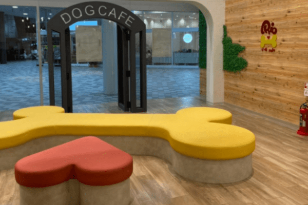 福岡県糟屋郡の犬カフェ『puppy cafe Rio（パピーカフェリオ）』