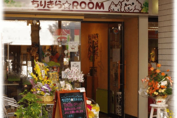 福岡県福岡市の犬と触れ合える喫茶店『ちりきら☆ROOM』