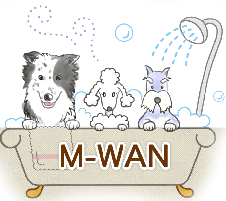 M-WAN