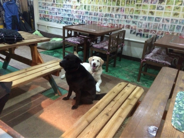 Dog Cafe & Plate TAMURA（京都府福知山市）