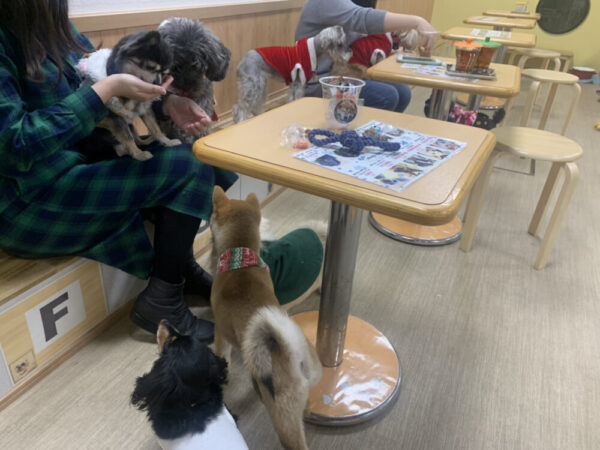 Dogs＆Cats Cafe 月と太陽（京都府宇治市）