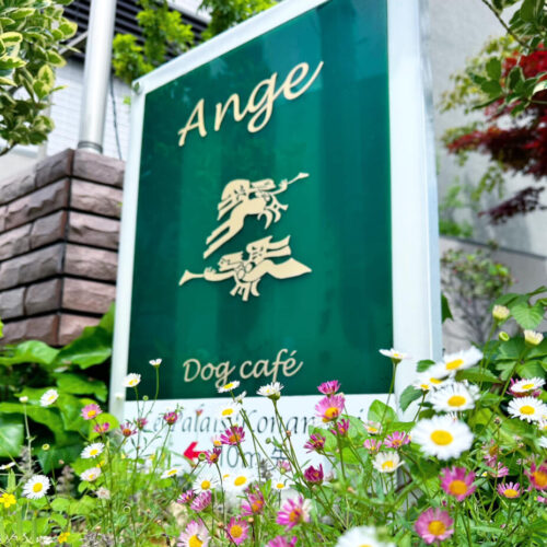 Ange Dog Cafe（横浜市港南区）