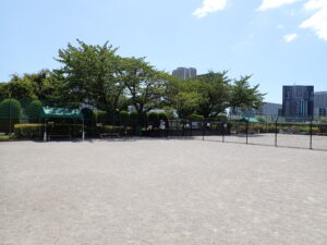 【港区】芝浦中央公園 ミナトドッグパーク