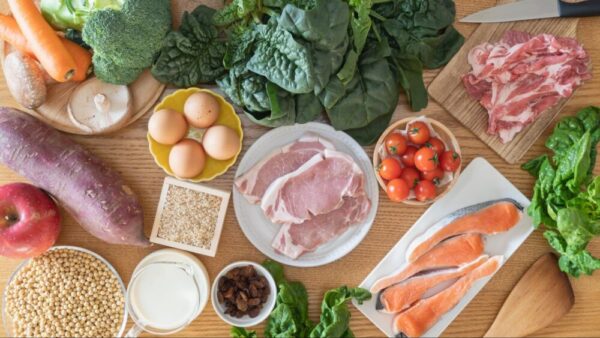 犬におすすめの消化しやすい食べ物