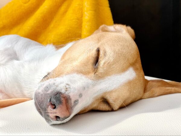 消化不良の時の対処法