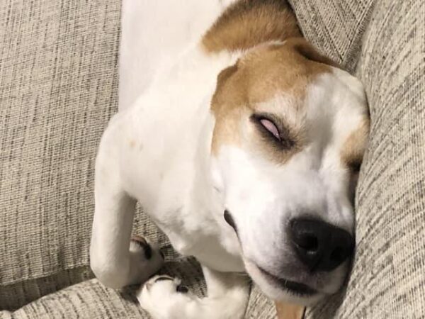 てんかんの可能性は？てんかんの基礎知識