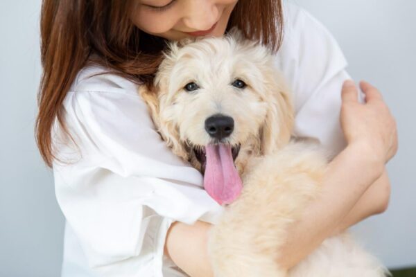 犬の健康に嬉しい！豚肉に含まれる栄養素と4つのメリットや効果