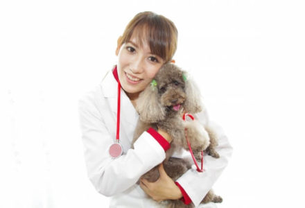 笑顔の獣医と犬